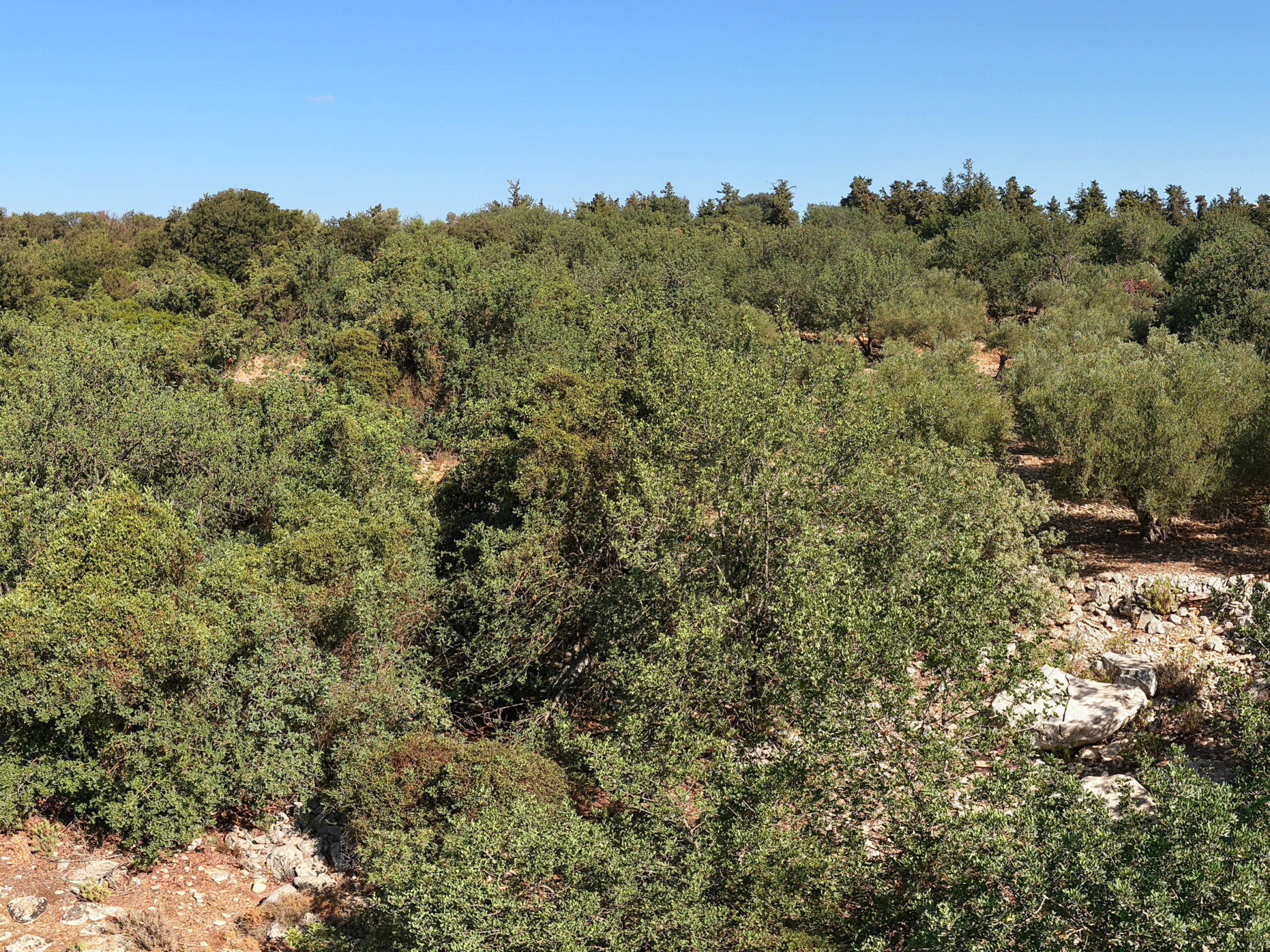 Panorama1003 01 scaled