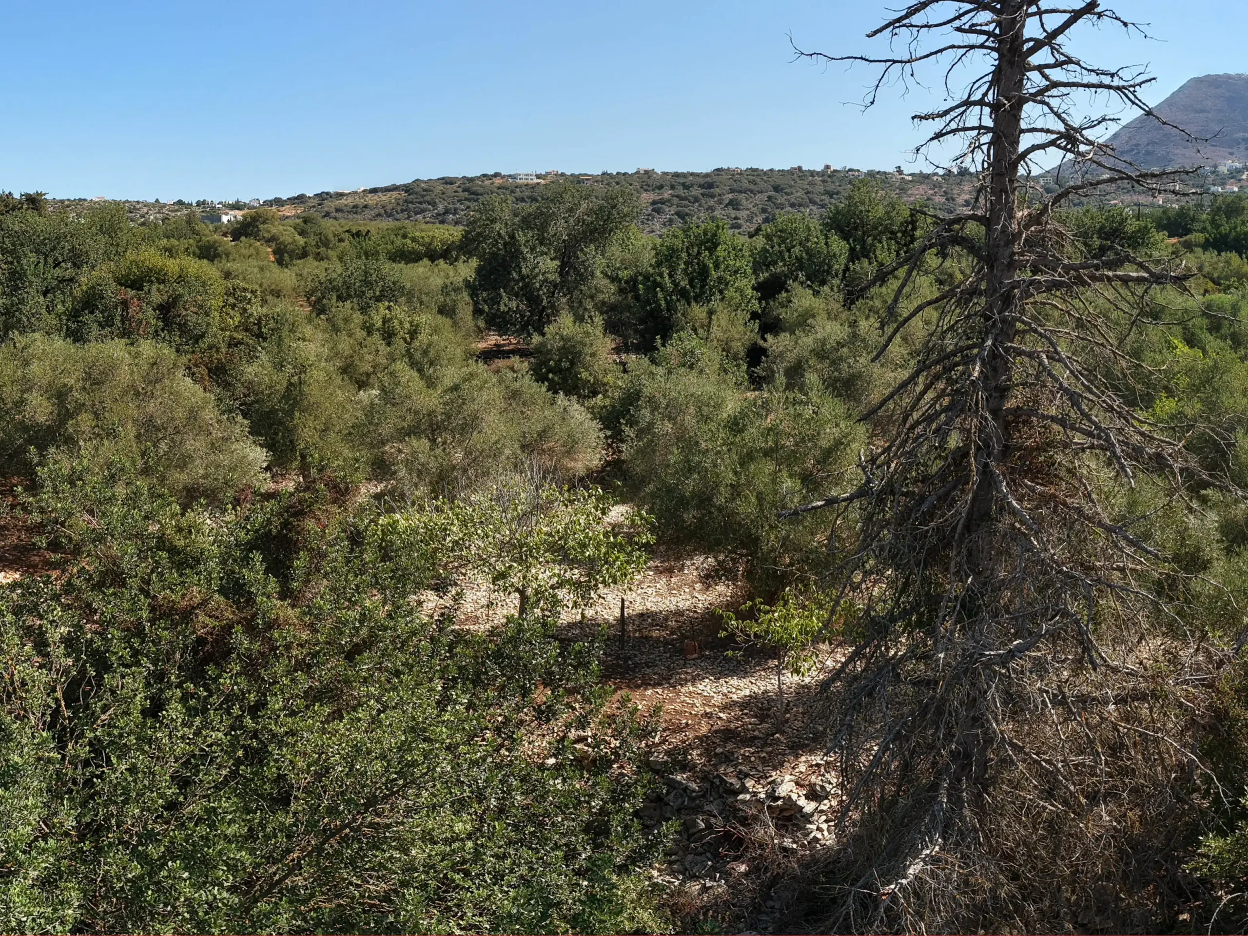 Panorama1003 02 scaled