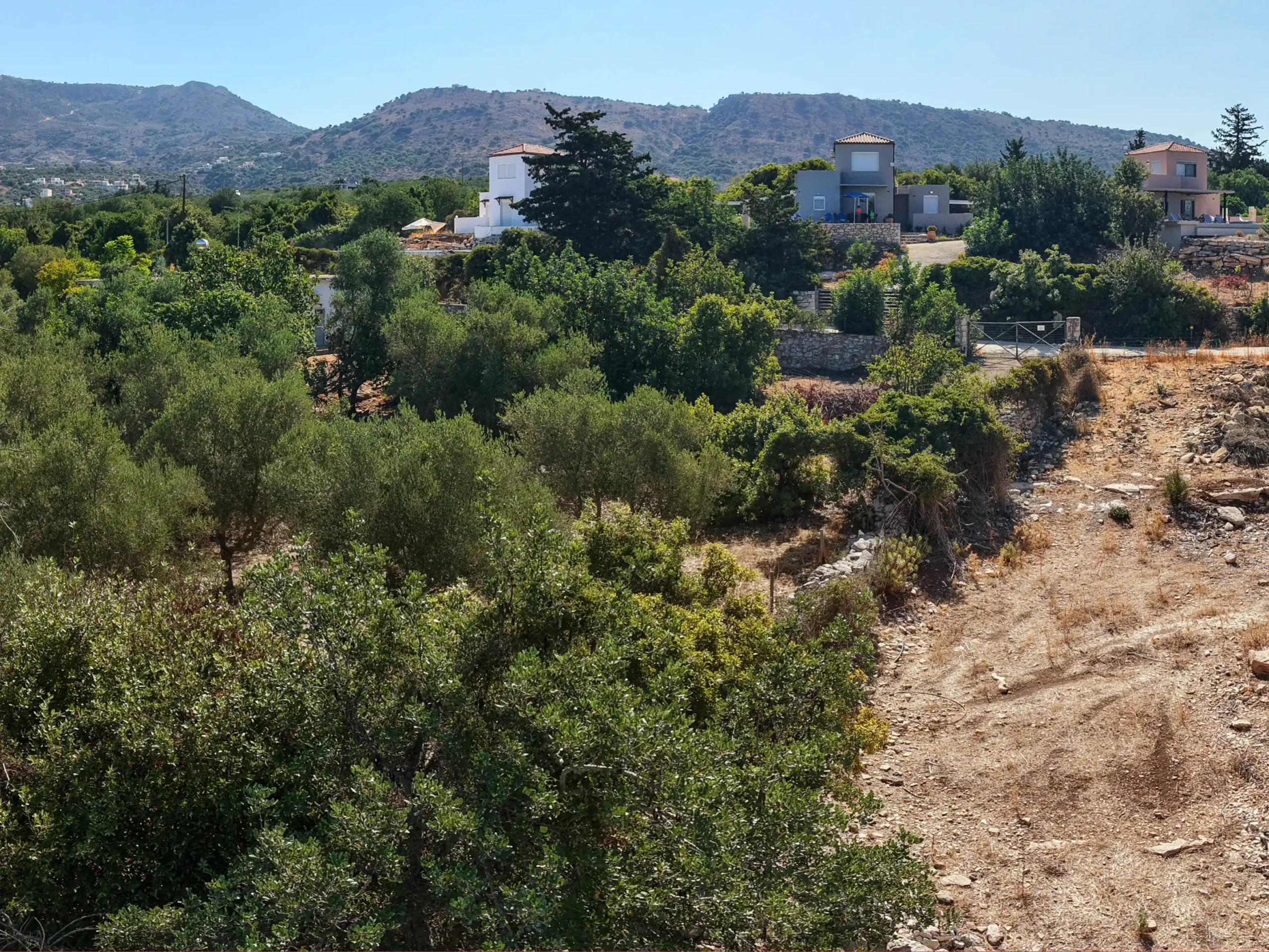 Panorama1003 03 scaled