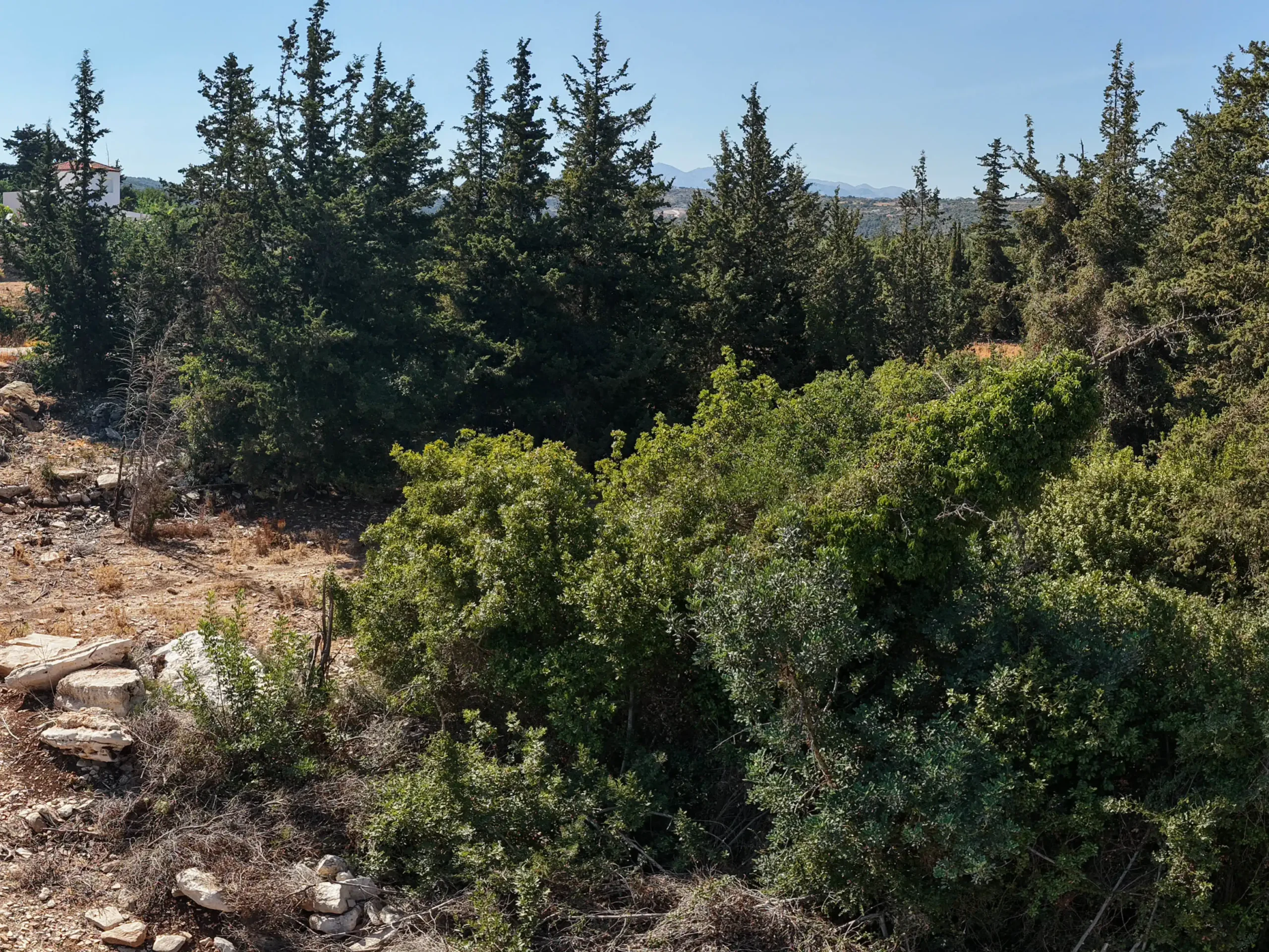 Panorama1003 04 scaled