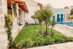 Theo & Co. | Construction & Real Estate in Chania, Crete | Landscaping