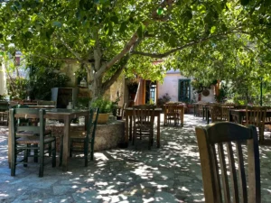 location villa pagos theo and co 03